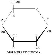 Glucosa